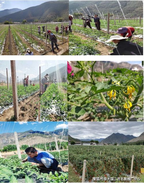 麗江百姓餐飲服務(wù)管理有限責(zé)任公司 食品安全誠(chéng)信經(jīng)營(yíng)示范單位